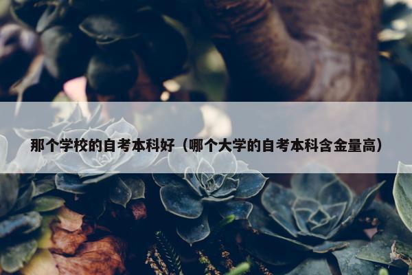 那个学校的自考本科好（哪个大学的自考本科含金量高）