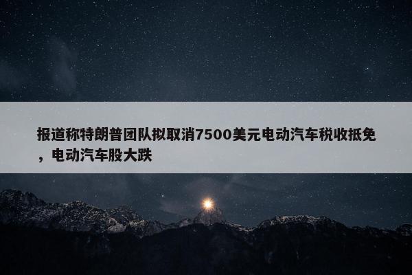 报道称特朗普团队拟取消7500美元电动汽车税收抵免，电动汽车股大跌