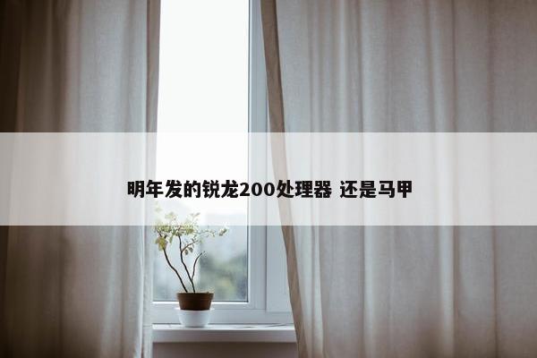 明年发的锐龙200处理器 还是马甲