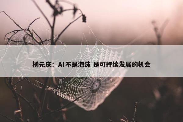 杨元庆：AI不是泡沫 是可持续发展的机会