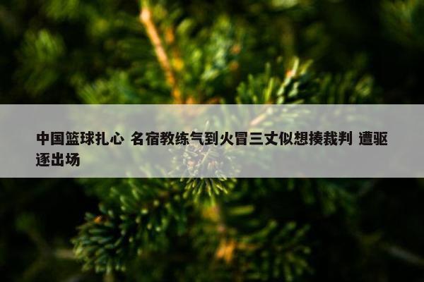 中国篮球扎心 名宿教练气到火冒三丈似想揍裁判 遭驱逐出场