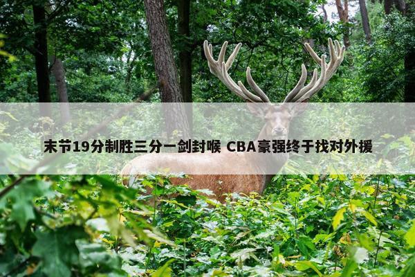 末节19分制胜三分一剑封喉 CBA豪强终于找对外援