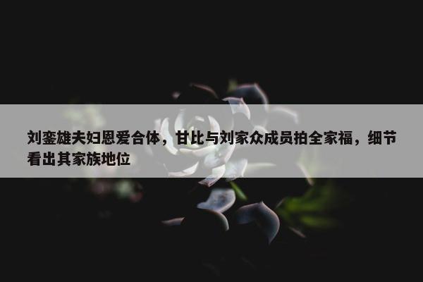 刘銮雄夫妇恩爱合体，甘比与刘家众成员拍全家福，细节看出其家族地位