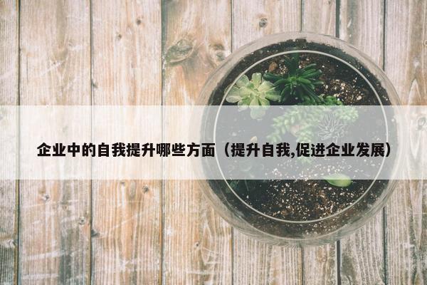 企业中的自我提升哪些方面（提升自我,促进企业发展）