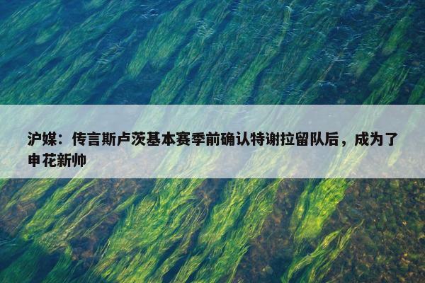 沪媒：传言斯卢茨基本赛季前确认特谢拉留队后，成为了申花新帅