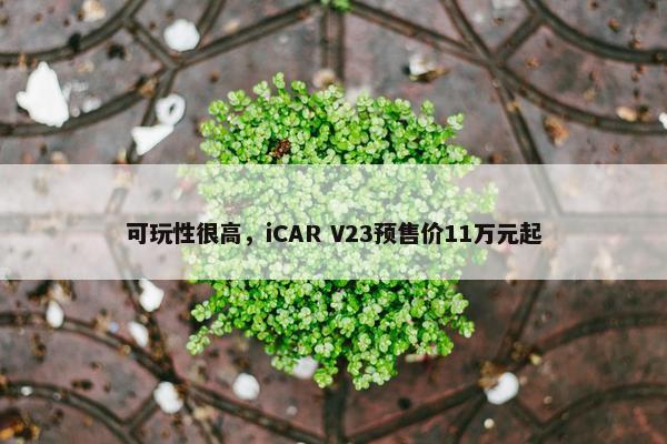 可玩性很高，iCAR V23预售价11万元起