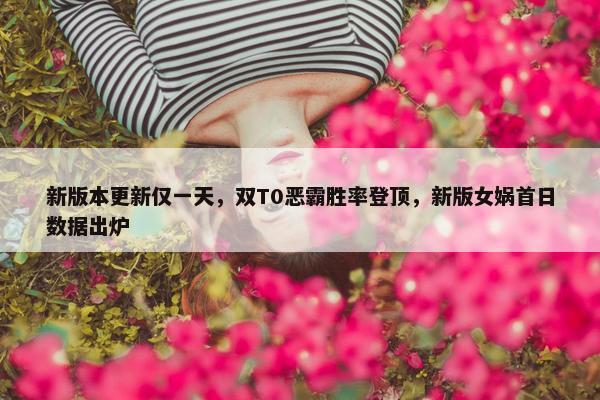 新版本更新仅一天，双T0恶霸胜率登顶，新版女娲首日数据出炉