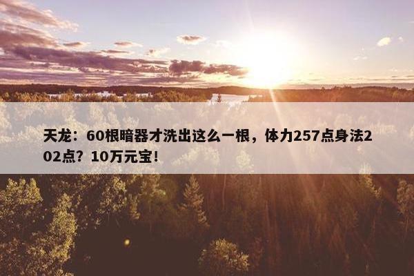 天龙：60根暗器才洗出这么一根，体力257点身法202点？10万元宝！