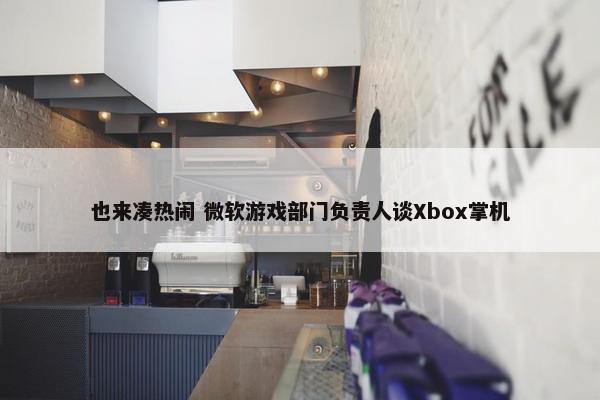 也来凑热闹 微软游戏部门负责人谈Xbox掌机