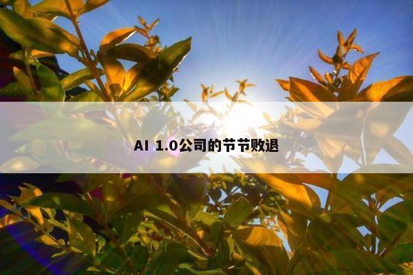 AI 1.0公司的节节败退