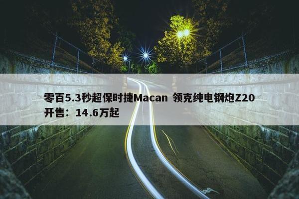 零百5.3秒超保时捷Macan 领克纯电钢炮Z20开售：14.6万起