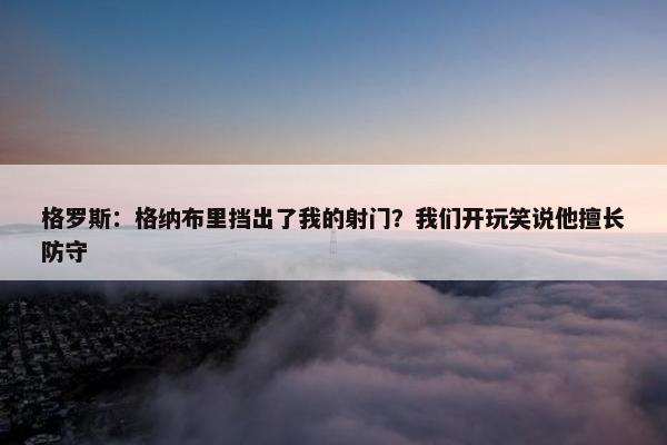 格罗斯：格纳布里挡出了我的射门？我们开玩笑说他擅长防守