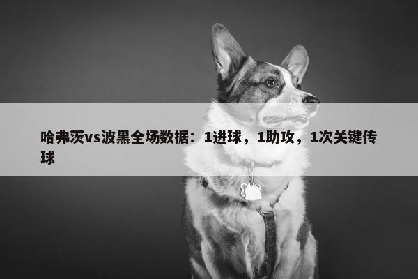 哈弗茨vs波黑全场数据：1进球，1助攻，1次关键传球