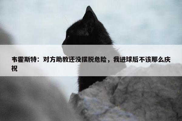 韦霍斯特：对方助教还没摆脱危险，我进球后不该那么庆祝