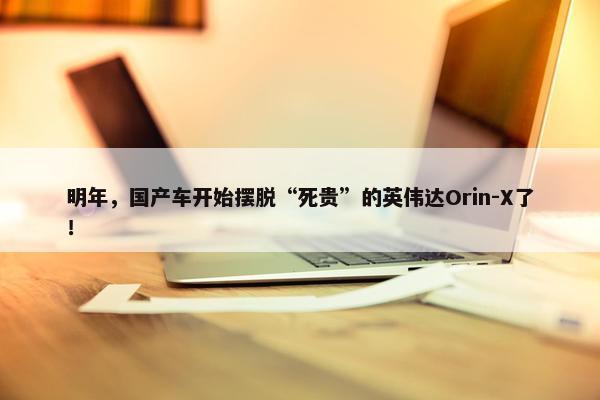 明年，国产车开始摆脱“死贵”的英伟达Orin-X了！