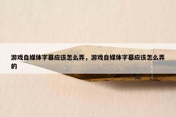 游戏自媒体字幕应该怎么弄，游戏自媒体字幕应该怎么弄的