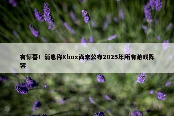 有惊喜！消息称Xbox尚未公布2025年所有游戏阵容