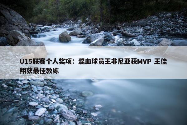 U15联赛个人奖项：混血球员王非尼亚获MVP 王佳翔获最佳教练