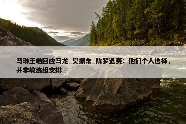 马琳王皓回应马龙_樊振东_陈梦退赛：他们个人选择，并非教练组安排