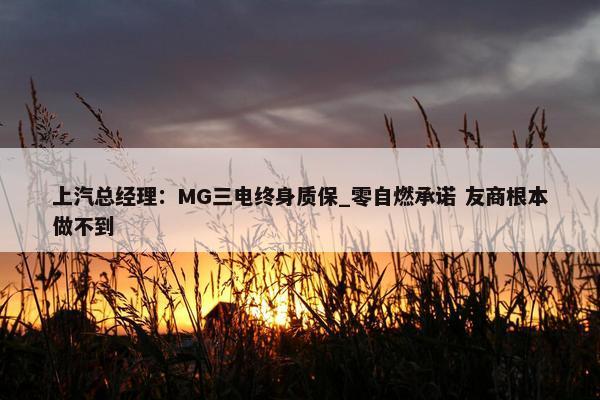 上汽总经理：MG三电终身质保_零自燃承诺 友商根本做不到