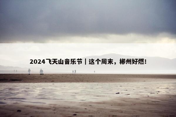 2024飞天山音乐节｜这个周末，郴州好燃！