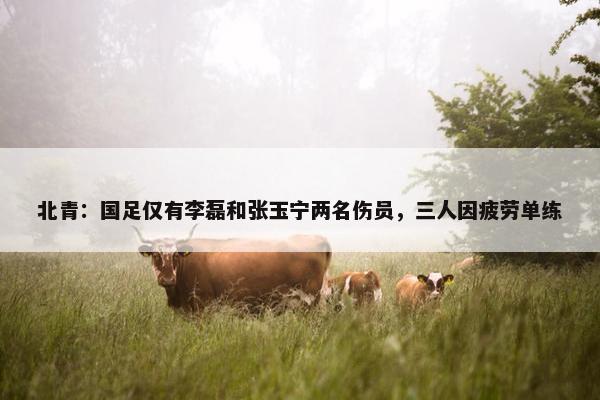 北青：国足仅有李磊和张玉宁两名伤员，三人因疲劳单练