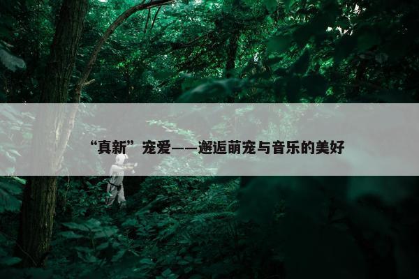 “真新”宠爱——邂逅萌宠与音乐的美好