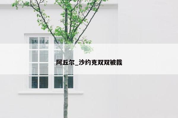 阿丘尔_沙约克双双被裁