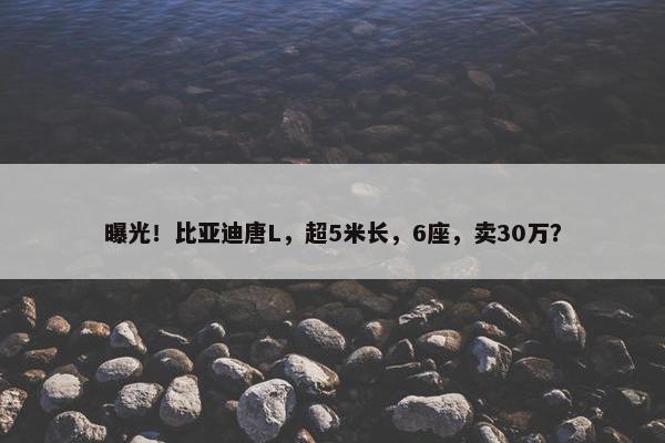 曝光！比亚迪唐L，超5米长，6座，卖30万？