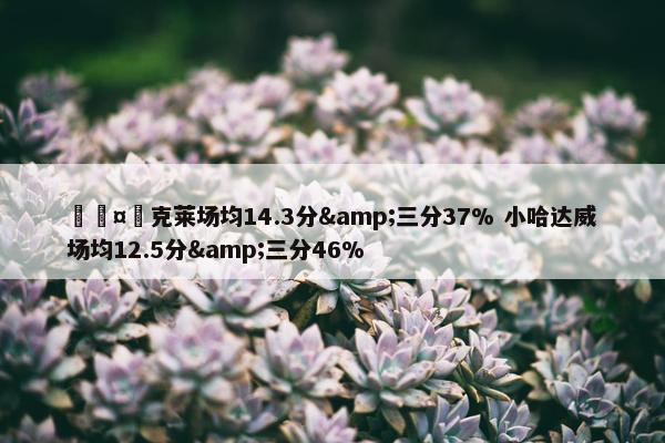 🤔克莱场均14.3分&三分37% 小哈达威场均12.5分&三分46%