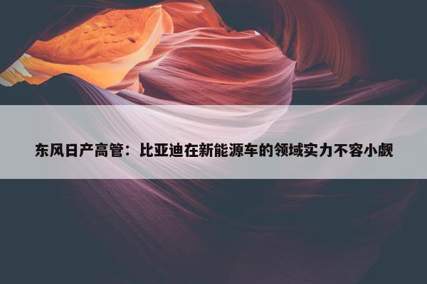 东风日产高管：比亚迪在新能源车的领域实力不容小觑