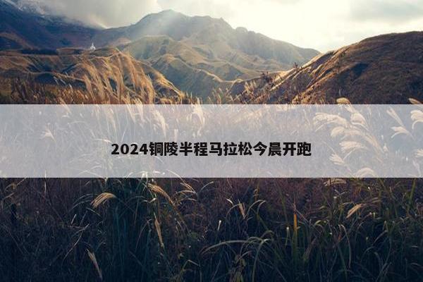 2024铜陵半程马拉松今晨开跑