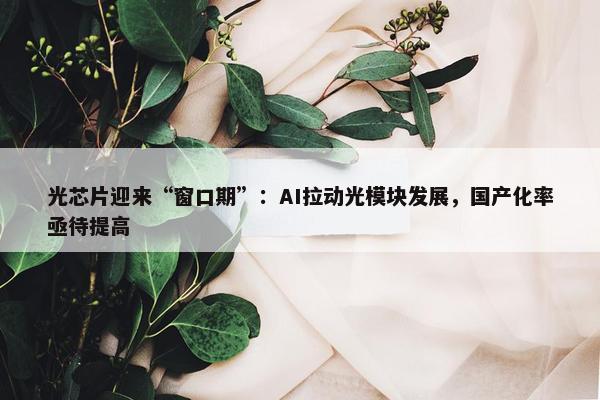 光芯片迎来“窗口期”：AI拉动光模块发展，国产化率亟待提高