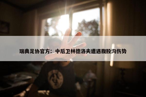 瑞典足协官方：中后卫林德洛夫遭遇腹股沟伤势