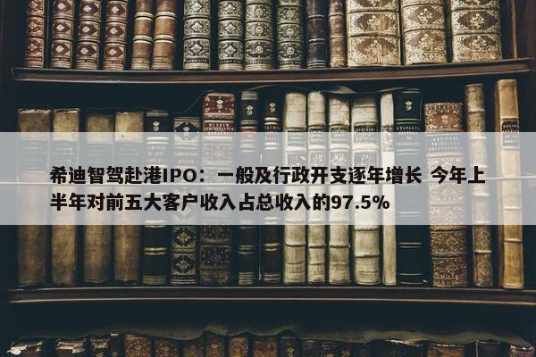 希迪智驾赴港IPO：一般及行政开支逐年增长 今年上半年对前五大客户收入占总收入的97.5%