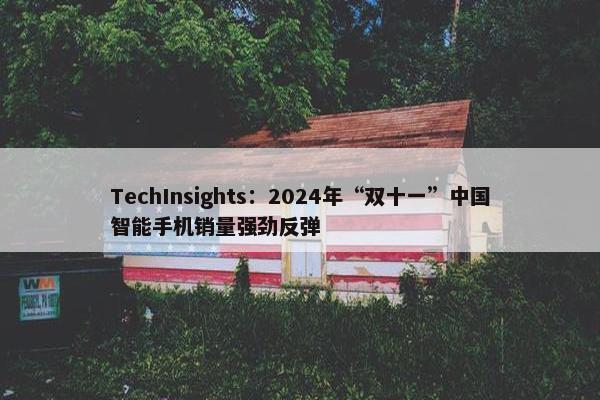 TechInsights：2024年“双十一”中国智能手机销量强劲反弹