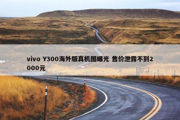 vivo Y300海外版真机图曝光 售价泄露不到2000元