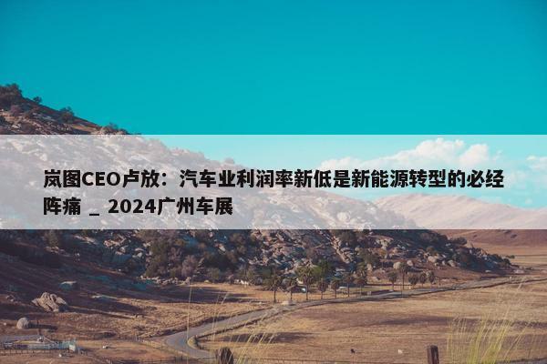 岚图CEO卢放：汽车业利润率新低是新能源转型的必经阵痛 _ 2024广州车展