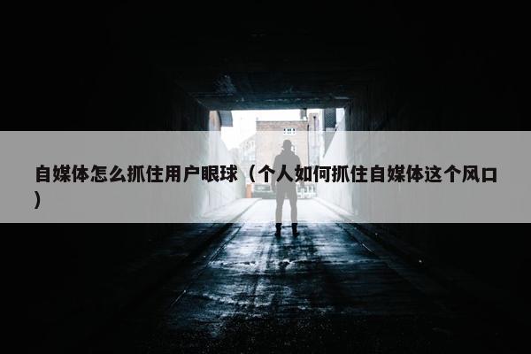 自媒体怎么抓住用户眼球（个人如何抓住自媒体这个风口）