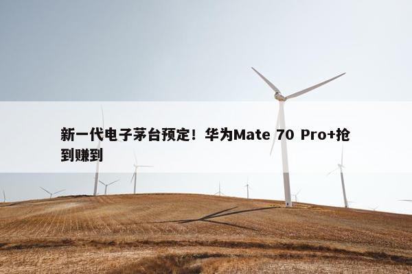 新一代电子茅台预定！华为Mate 70 Pro+抢到赚到