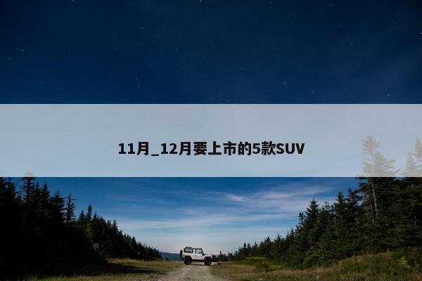 11月_12月要上市的5款SUV