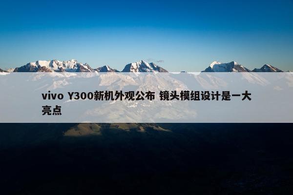 vivo Y300新机外观公布 镜头模组设计是一大亮点