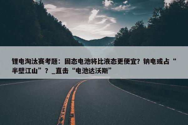 锂电淘汰赛考题：固态电池将比液态更便宜？钠电或占“半壁江山”？_直击“电池达沃斯”