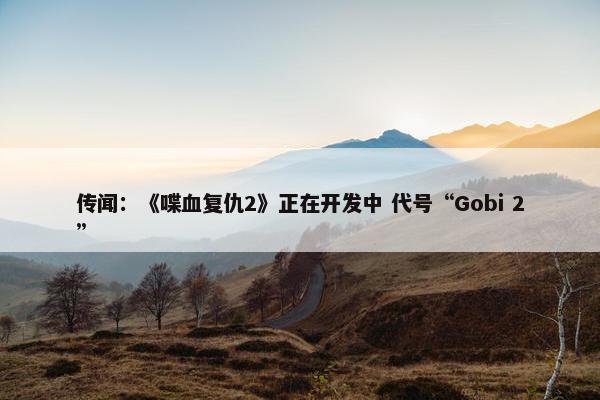 传闻：《喋血复仇2》正在开发中 代号“Gobi 2”