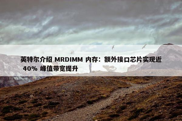 英特尔介绍 MRDIMM 内存：额外接口芯片实现近 40% 峰值带宽提升