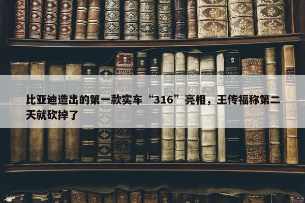 比亚迪造出的第一款实车“316”亮相，王传福称第二天就砍掉了