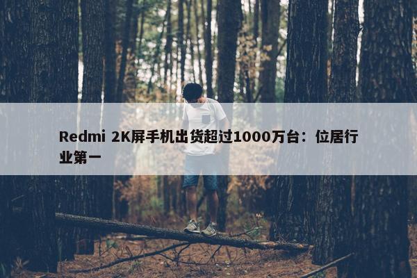 Redmi 2K屏手机出货超过1000万台：位居行业第一