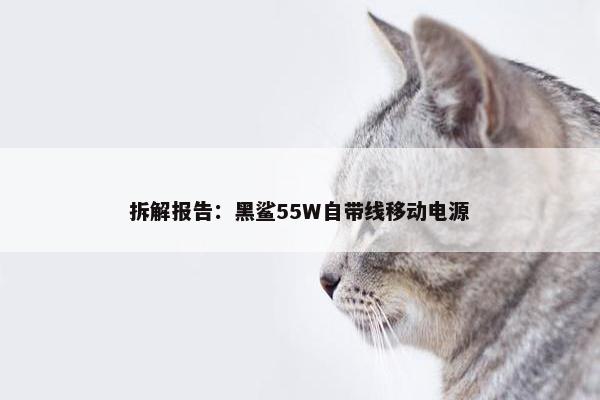 拆解报告：黑鲨55W自带线移动电源