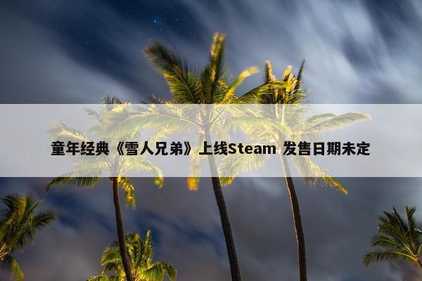 童年经典《雪人兄弟》上线Steam 发售日期未定