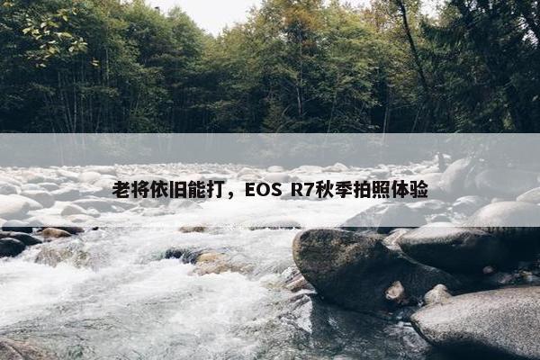 老将依旧能打，EOS R7秋季拍照体验